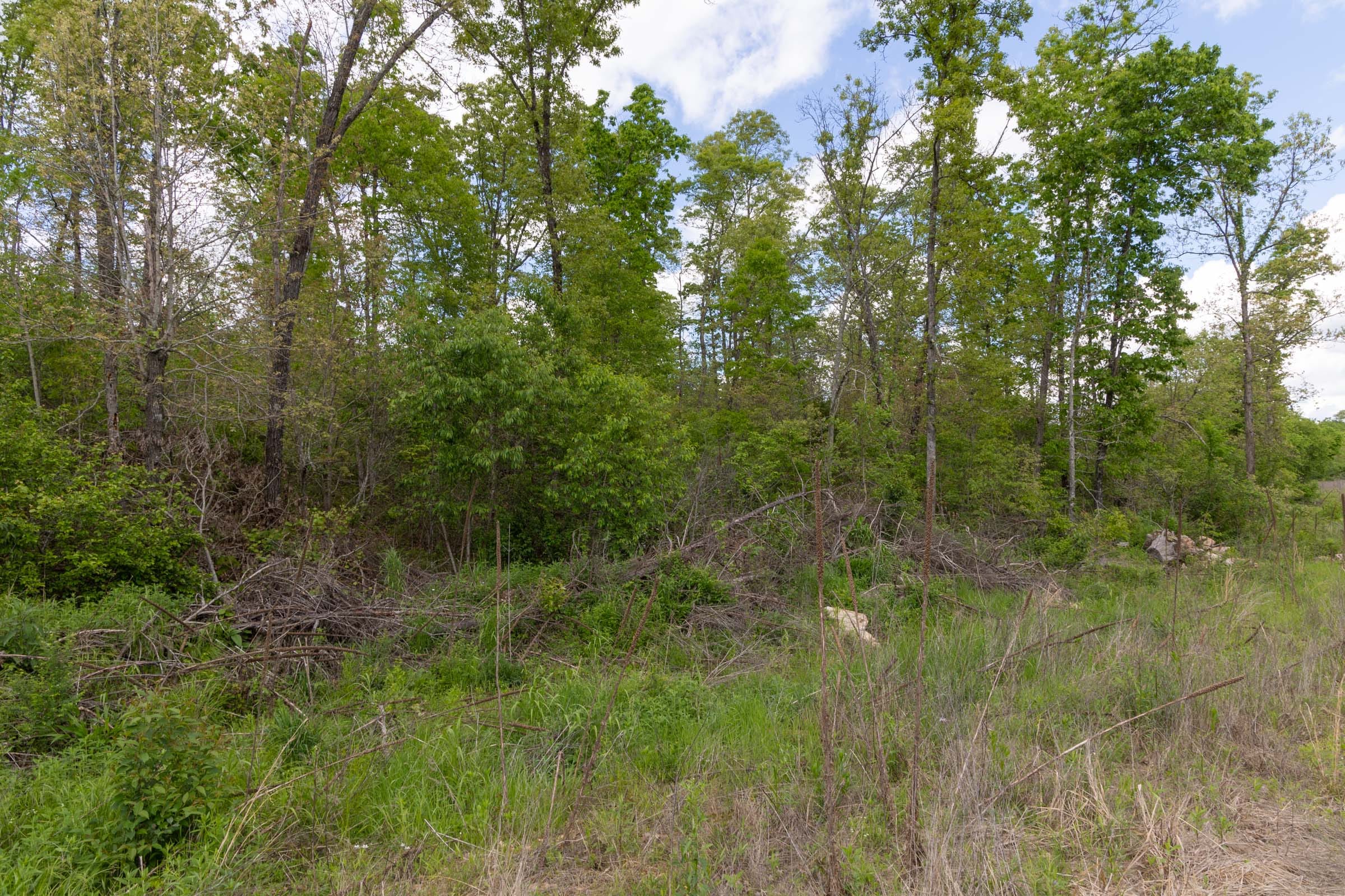 Sleepy Hollow Phase II Tract 101 photo 14