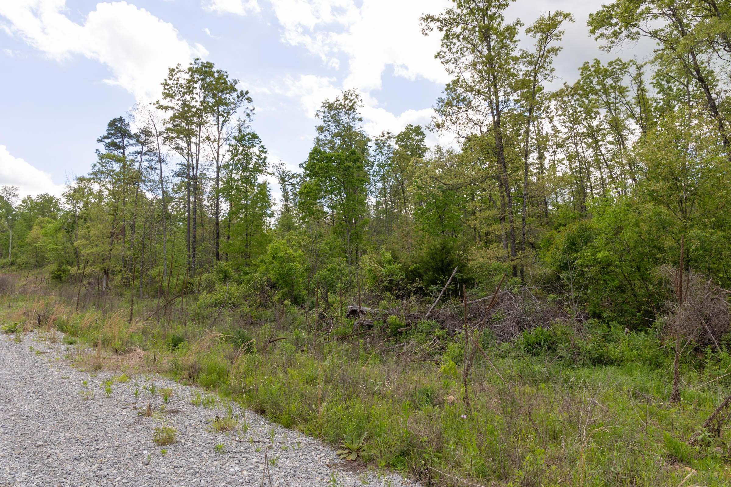 Sleepy Hollow Phase II Tract 101 photo 12