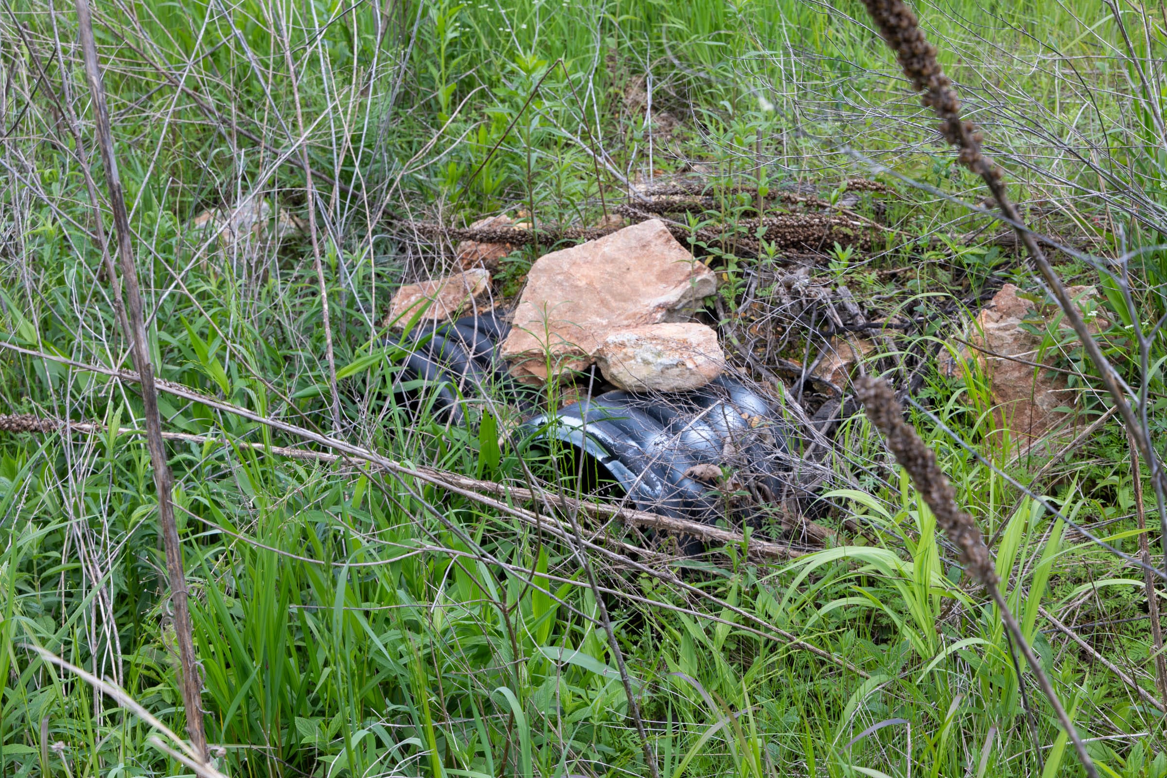 Sleepy Hollow Phase II Tract 101 photo 11