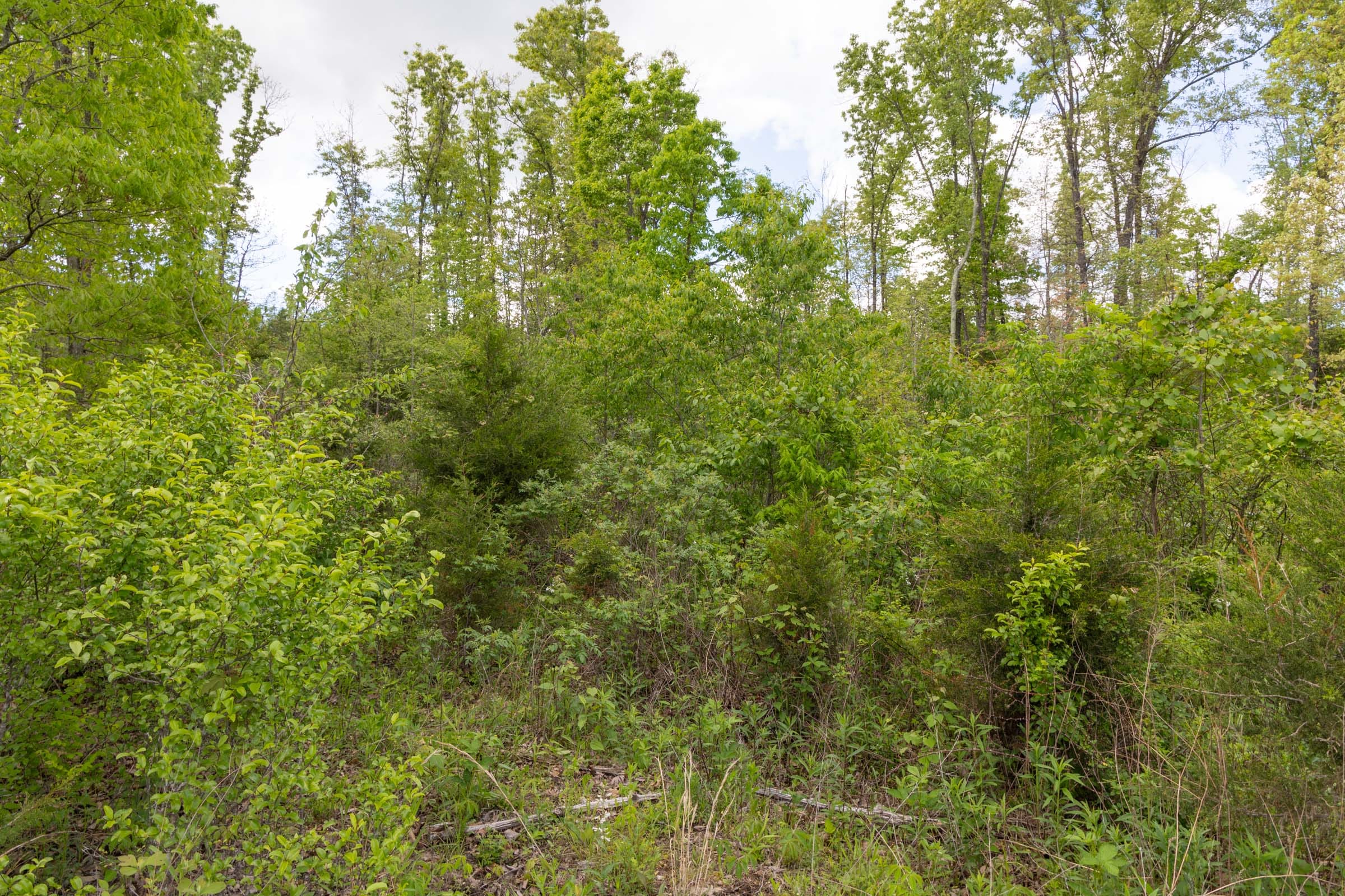 Sleepy Hollow Phase II Tract 101 photo 10