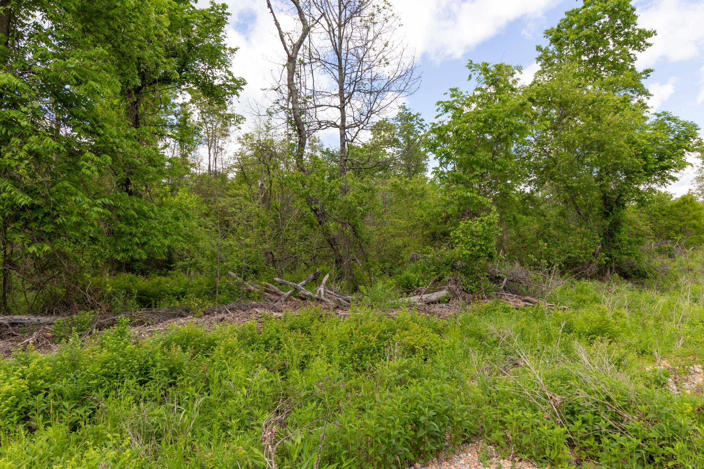 Sleepy Hollow Phase II Tract 101 photo 8