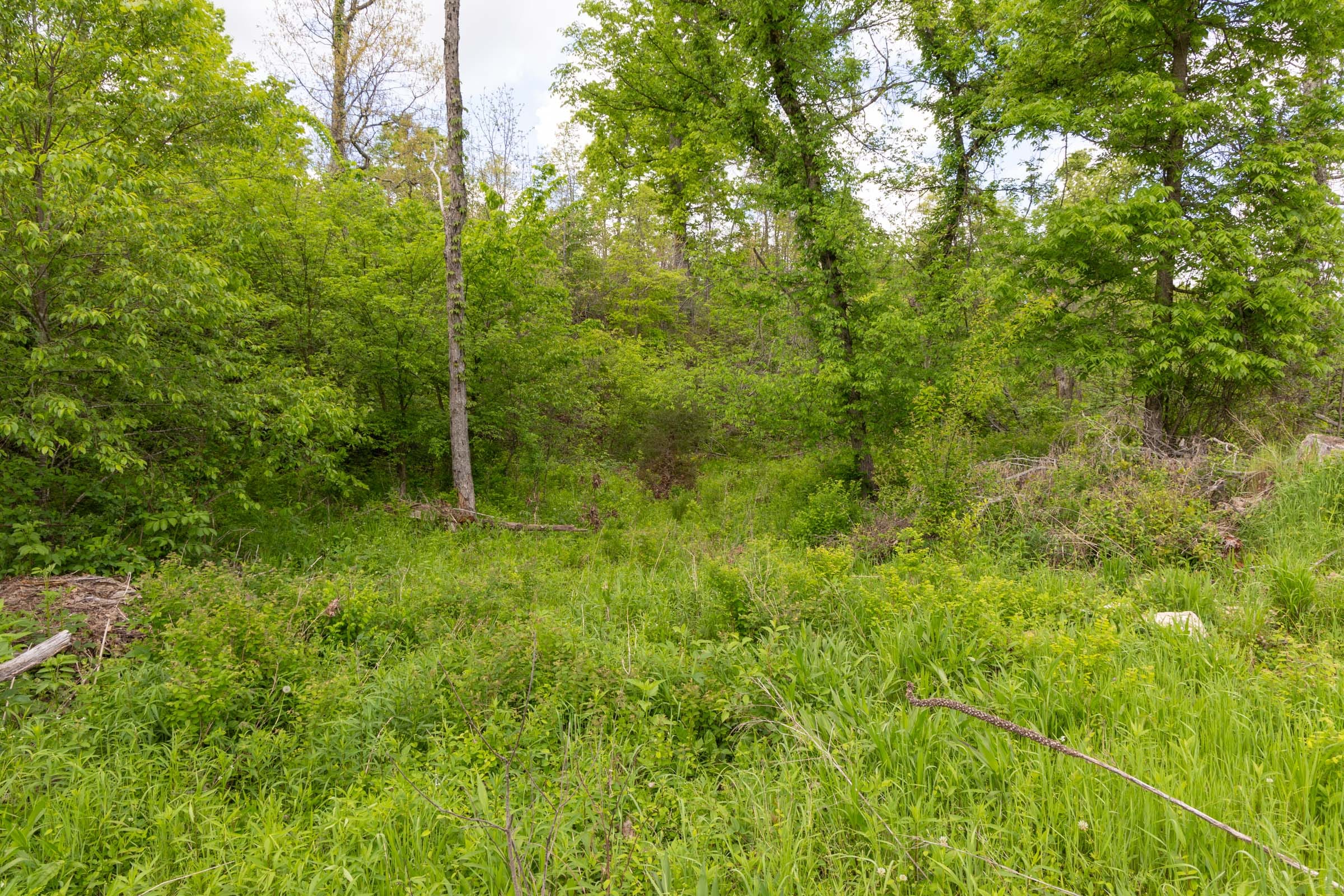 Sleepy Hollow Phase II Tract 101 photo 1