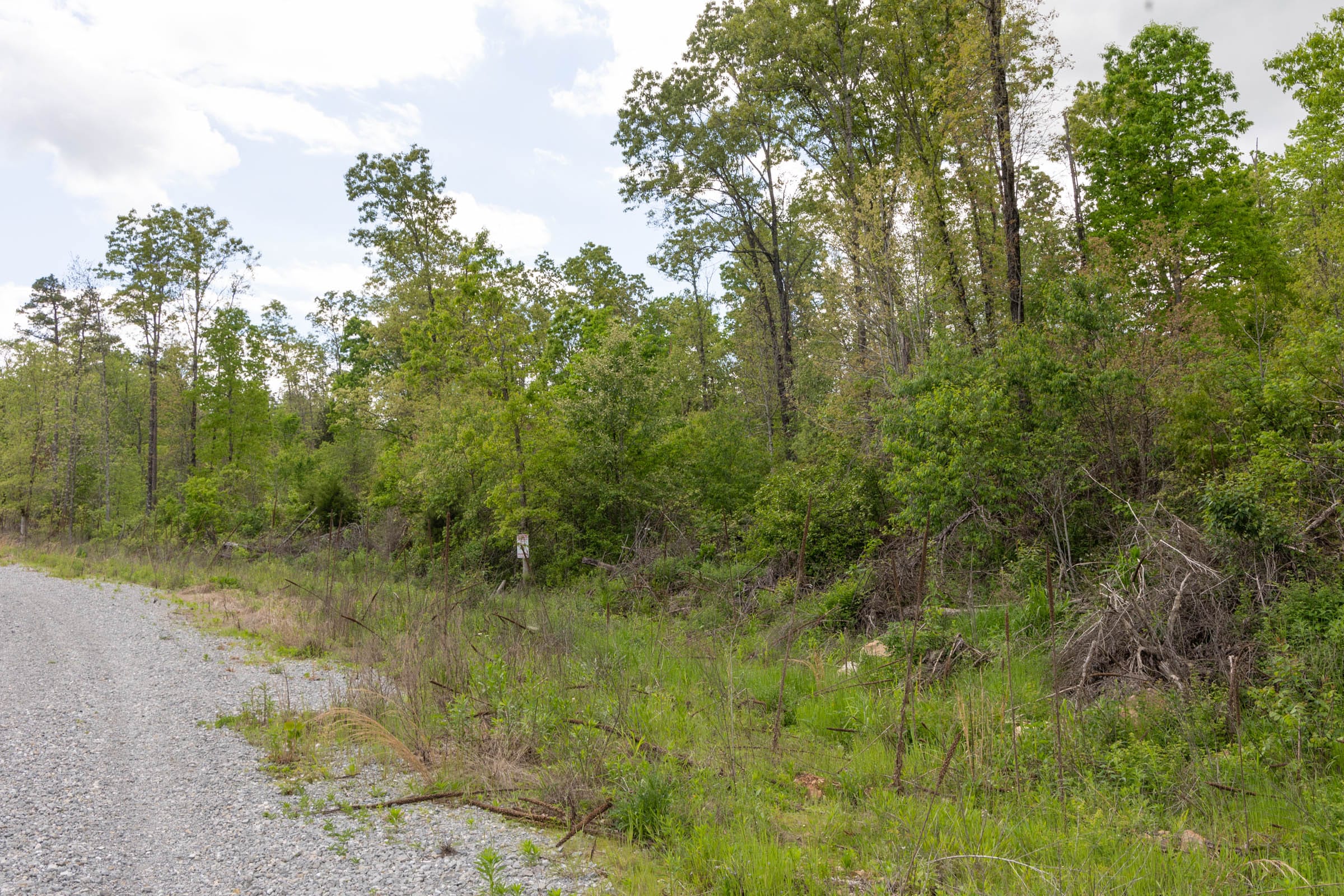 Sleepy Hollow Phase II Tract 101 photo 6