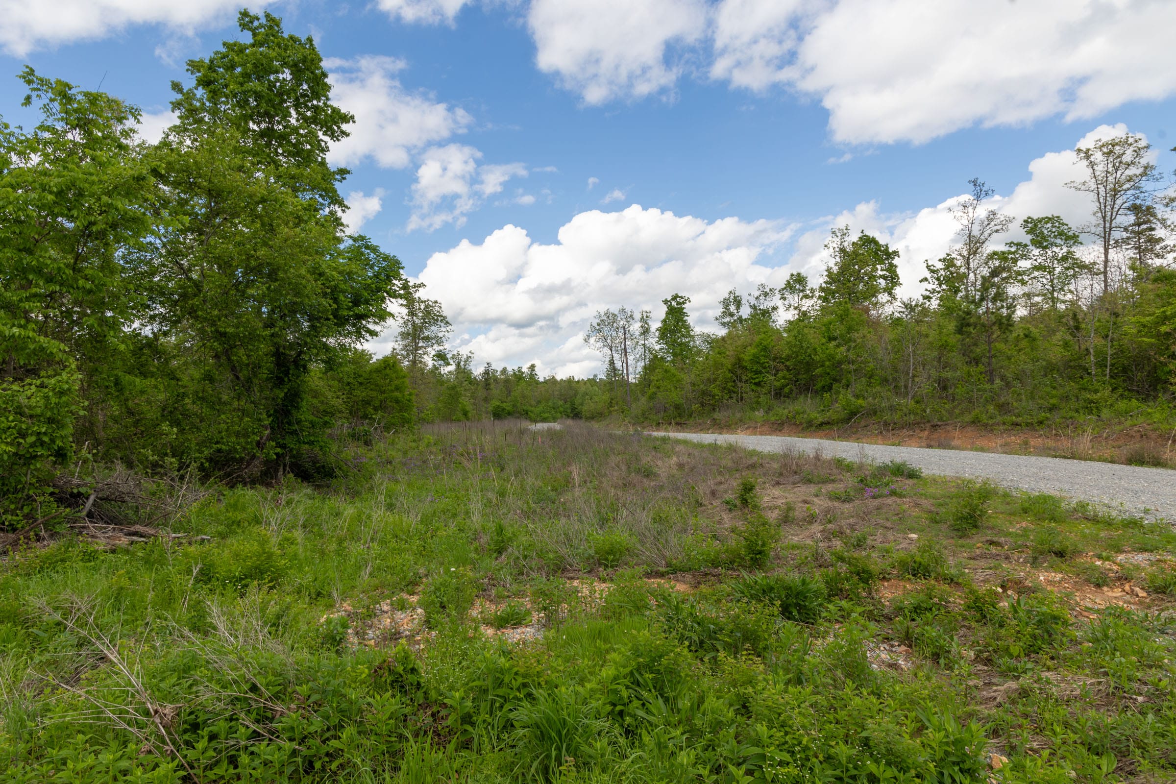 Sleepy Hollow Phase II Tract 101 photo 3