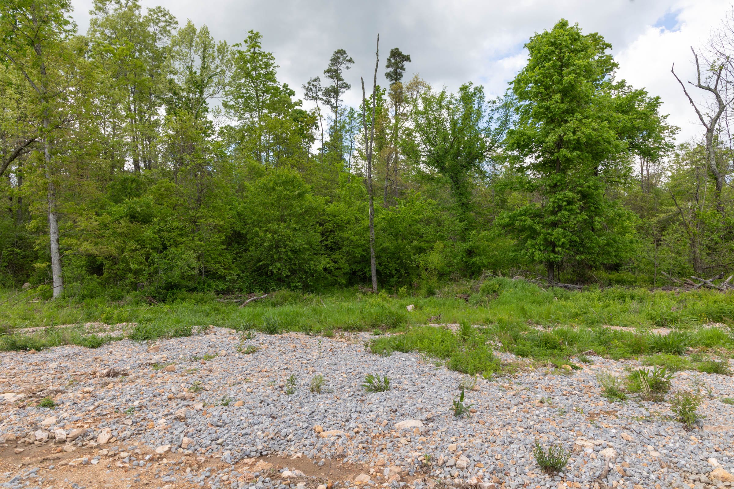 Sleepy Hollow Phase II Tract 101 photo 2