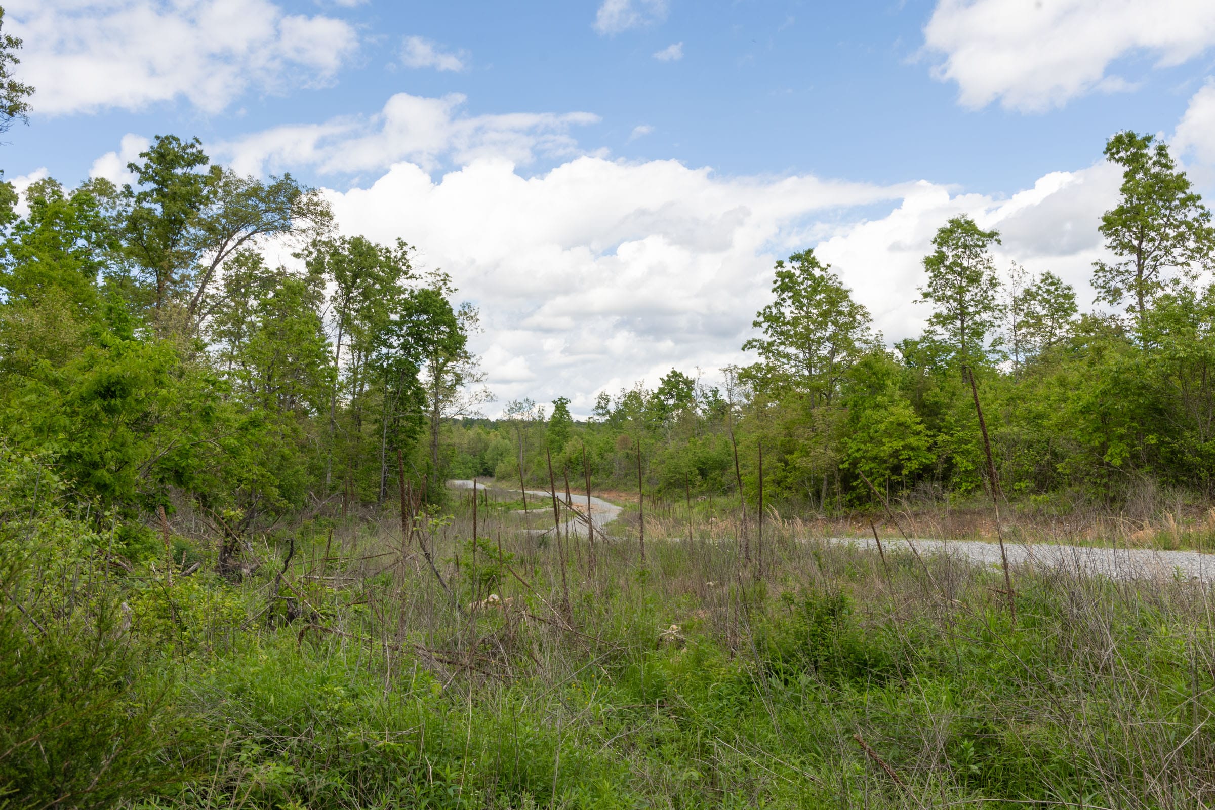 Sleepy Hollow Phase II Tract 101 photo 5