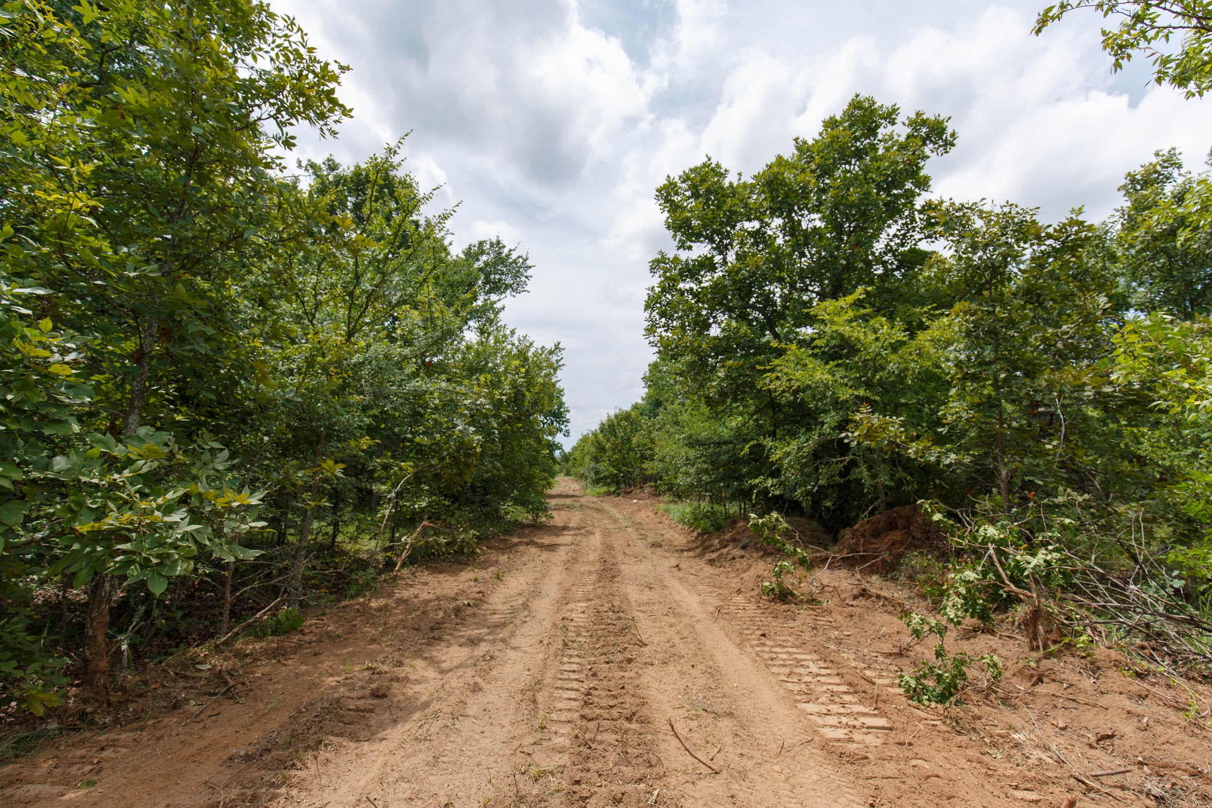 Timber Ridge Tract 23 photo 1
