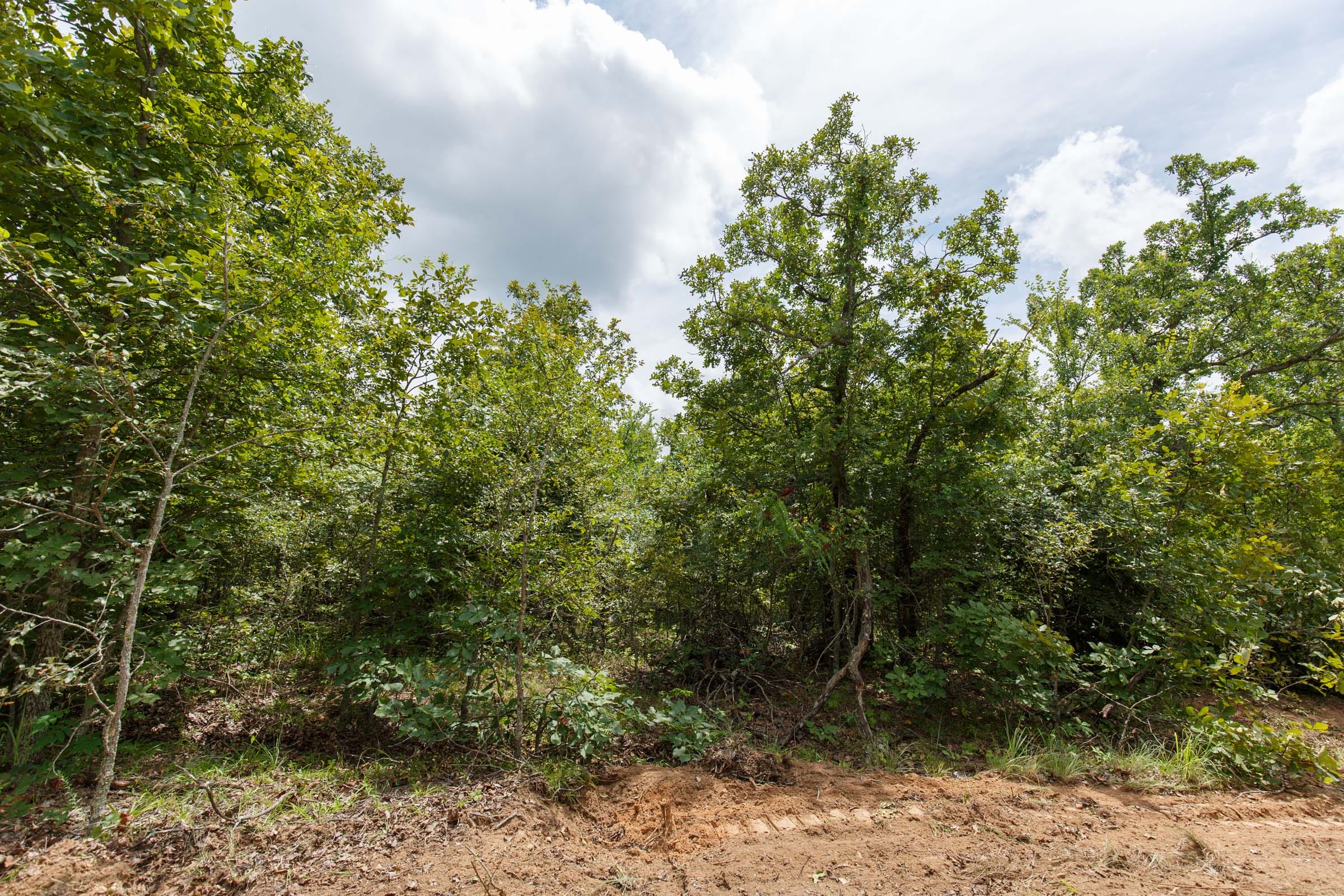 Timber Ridge Tract 23 photo 3