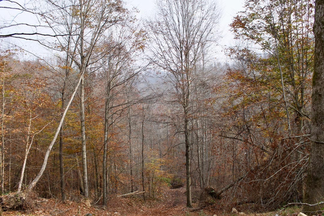Autumn Ridge Tract 7 photo 2