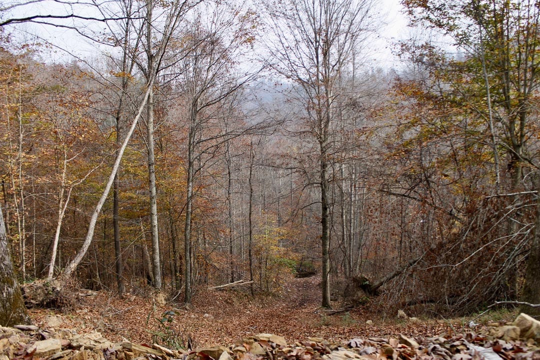 Autumn Ridge Tract 7 photo 3