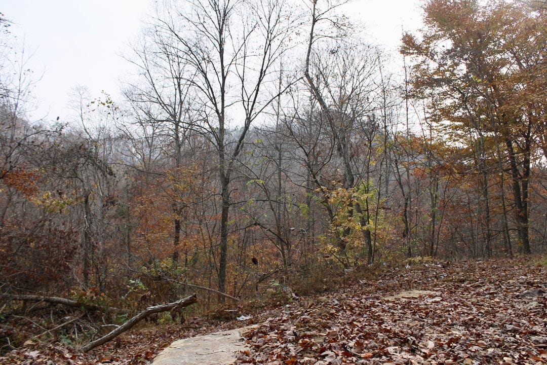 Autumn Ridge Tract 7 photo 4