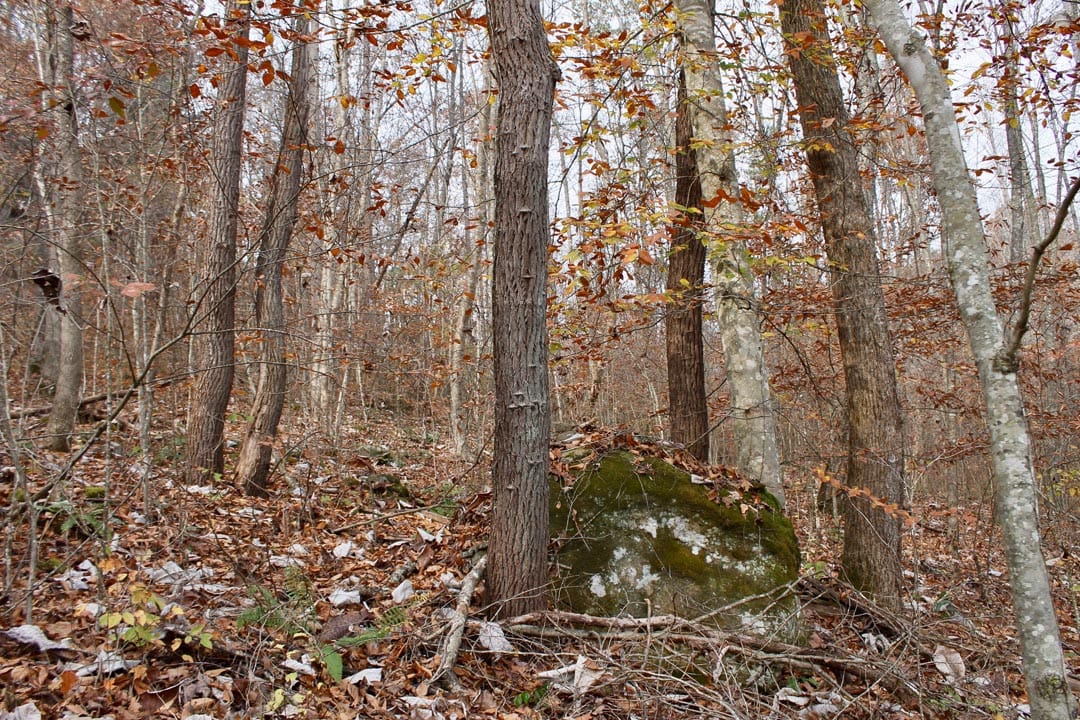 Autumn Ridge Tract 7 photo 5