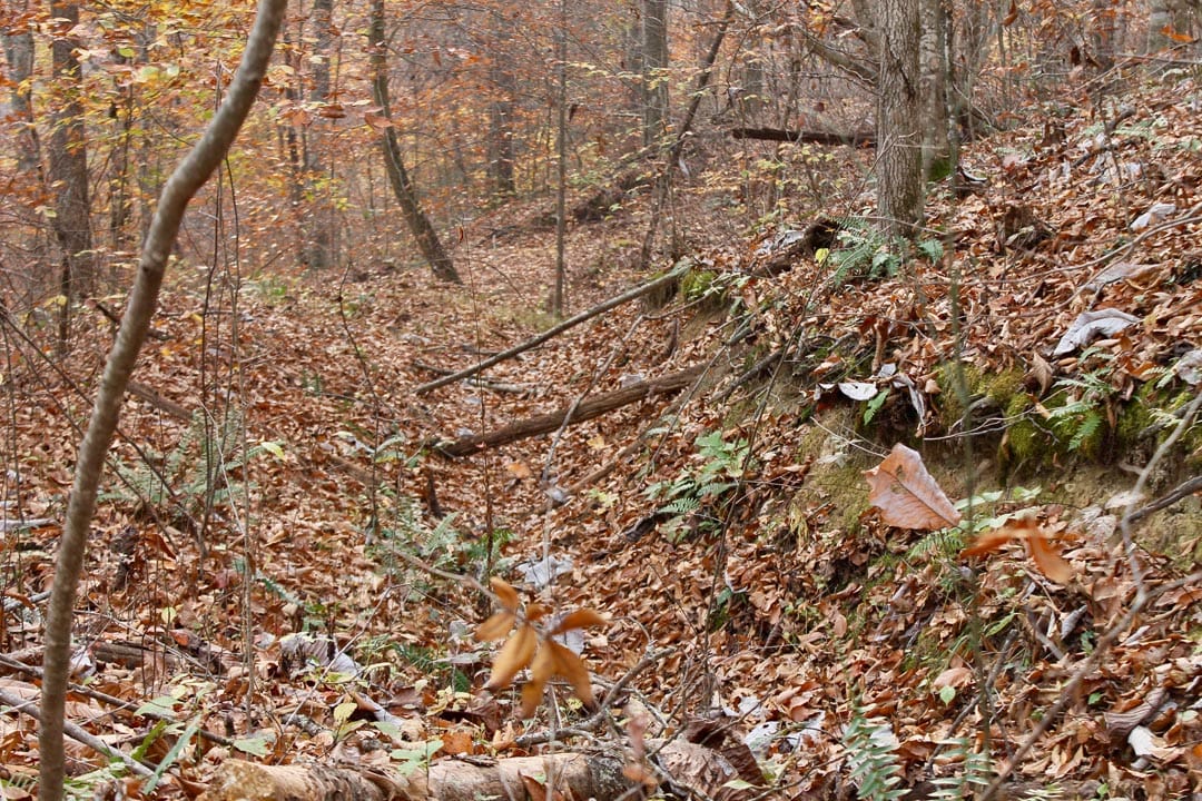 Autumn Ridge Tract 7 photo 8