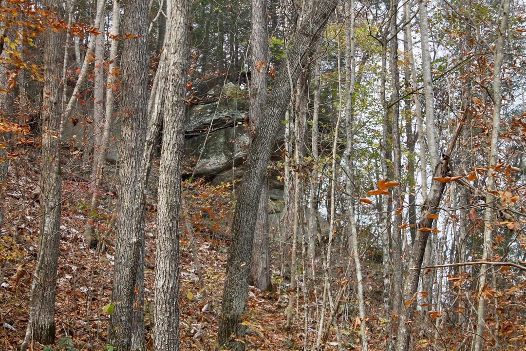 Autumn Ridge Tract 7 photo 12