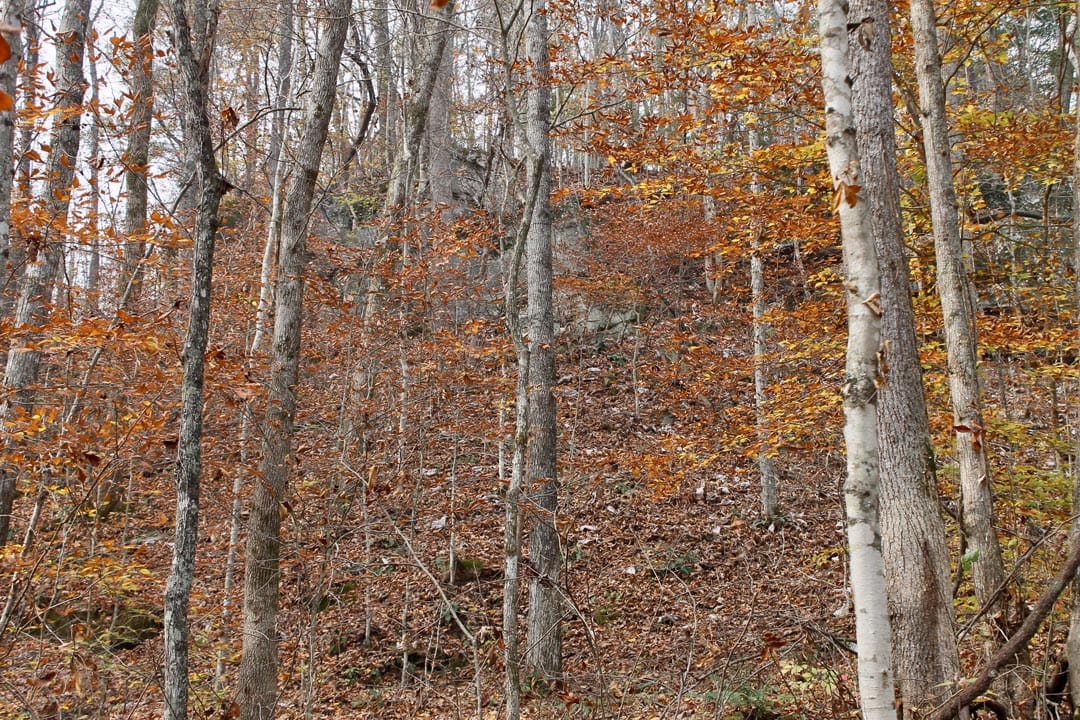 Autumn Ridge Tract 7 photo 14