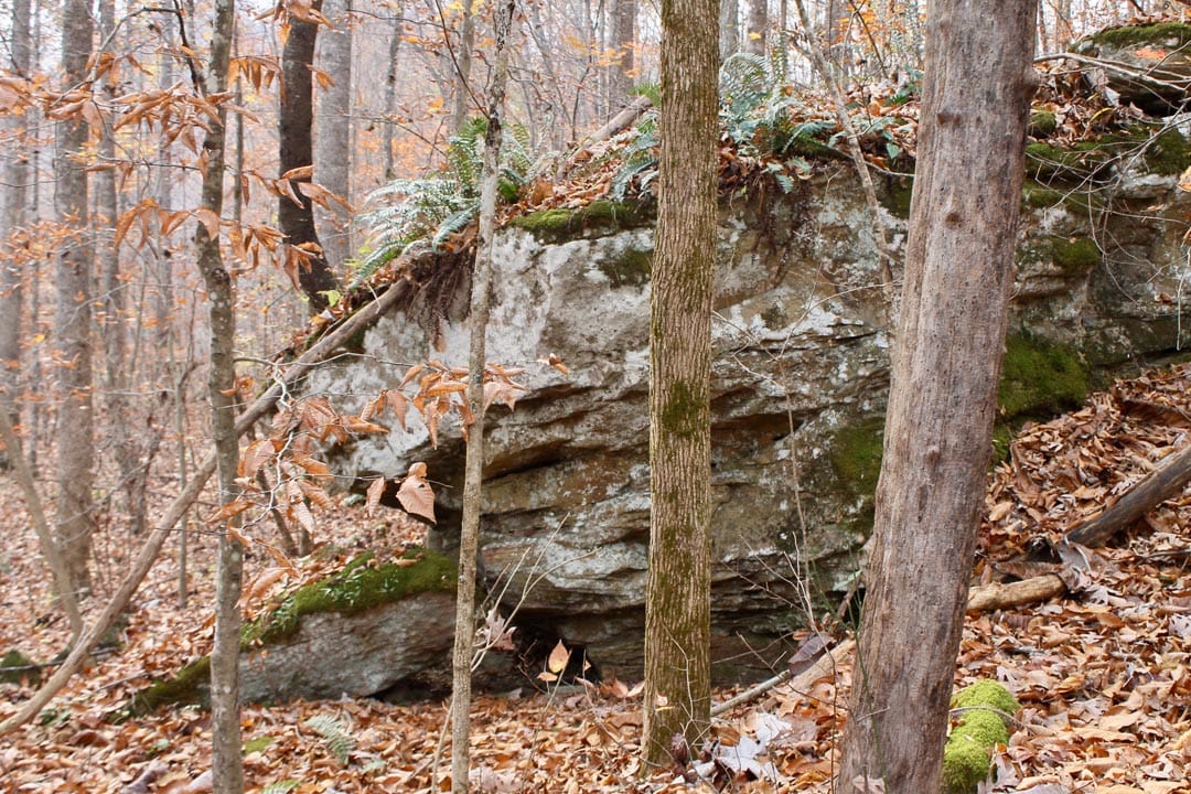 Autumn Ridge Tract 7 photo 17