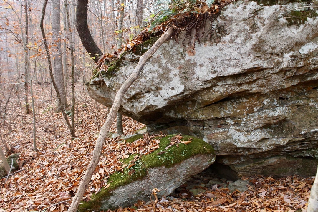 Autumn Ridge Tract 7 photo 18