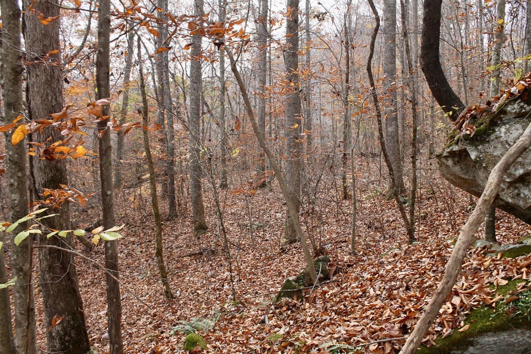 Autumn Ridge Tract 7 photo 19