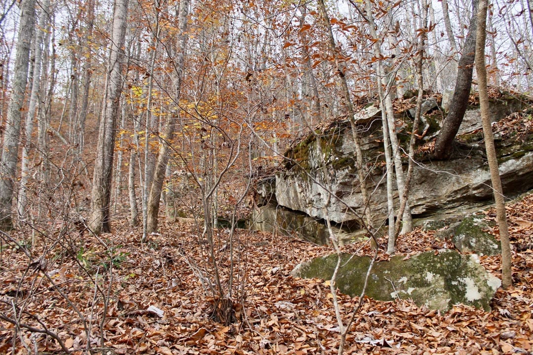 Autumn Ridge Tract 7 photo 20