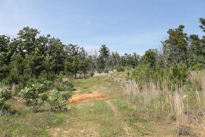 Indian Ridge – Phase II Tract 65 photo 1