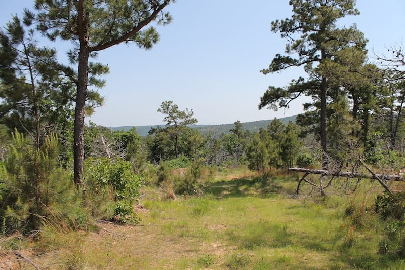 Indian Ridge – Phase II Tract 65 photo 2