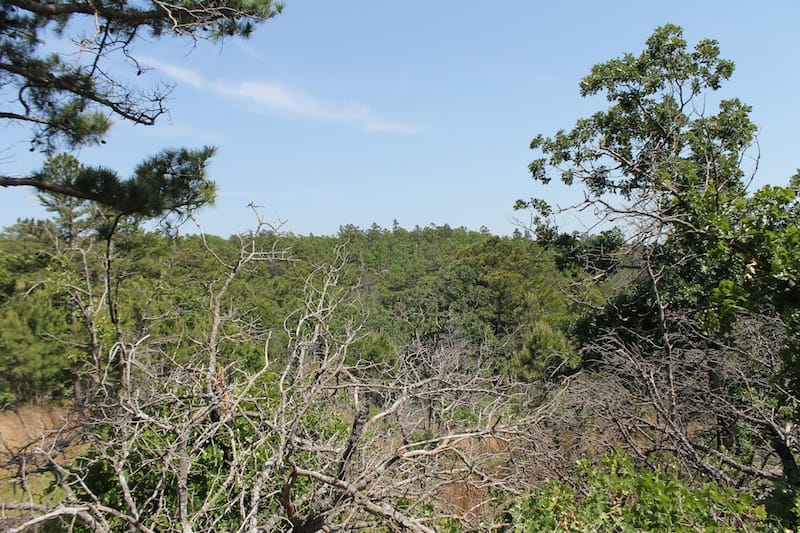 Indian Ridge – Phase II Tract 65 photo 3