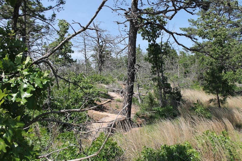 Indian Ridge – Phase II Tract 65 photo 4