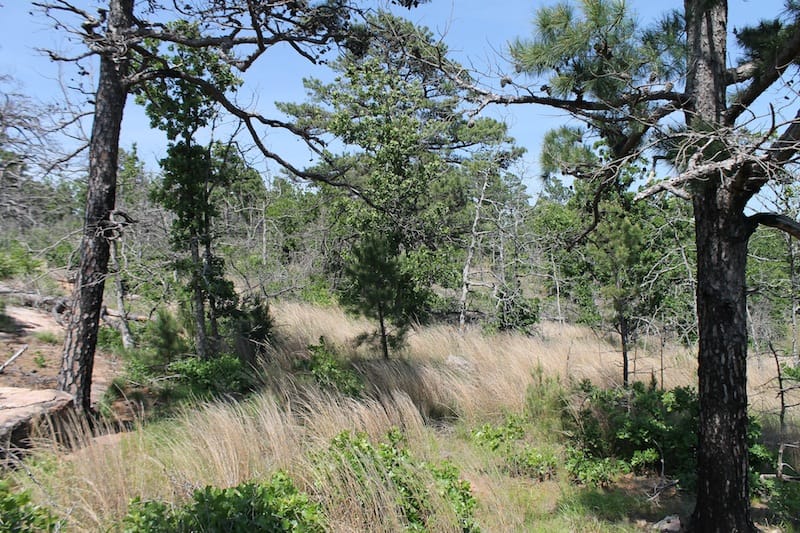 Indian Ridge – Phase II Tract 65 photo 5