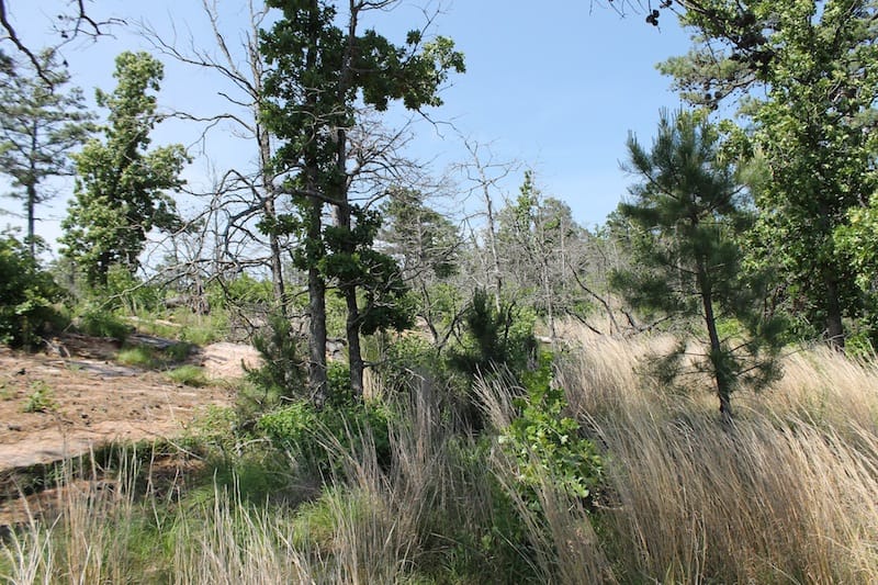 Indian Ridge – Phase II Tract 65 photo 7