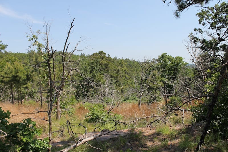 Indian Ridge – Phase II Tract 65 photo 8
