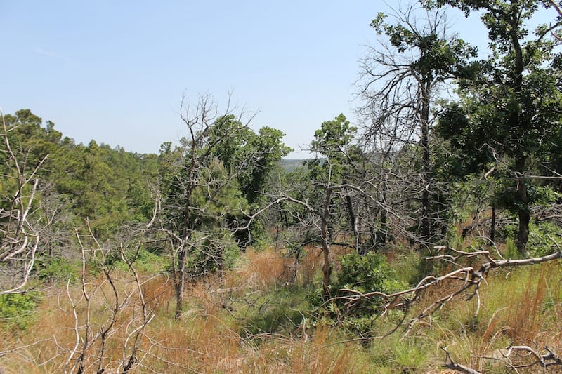 Indian Ridge – Phase II Tract 65 photo 10