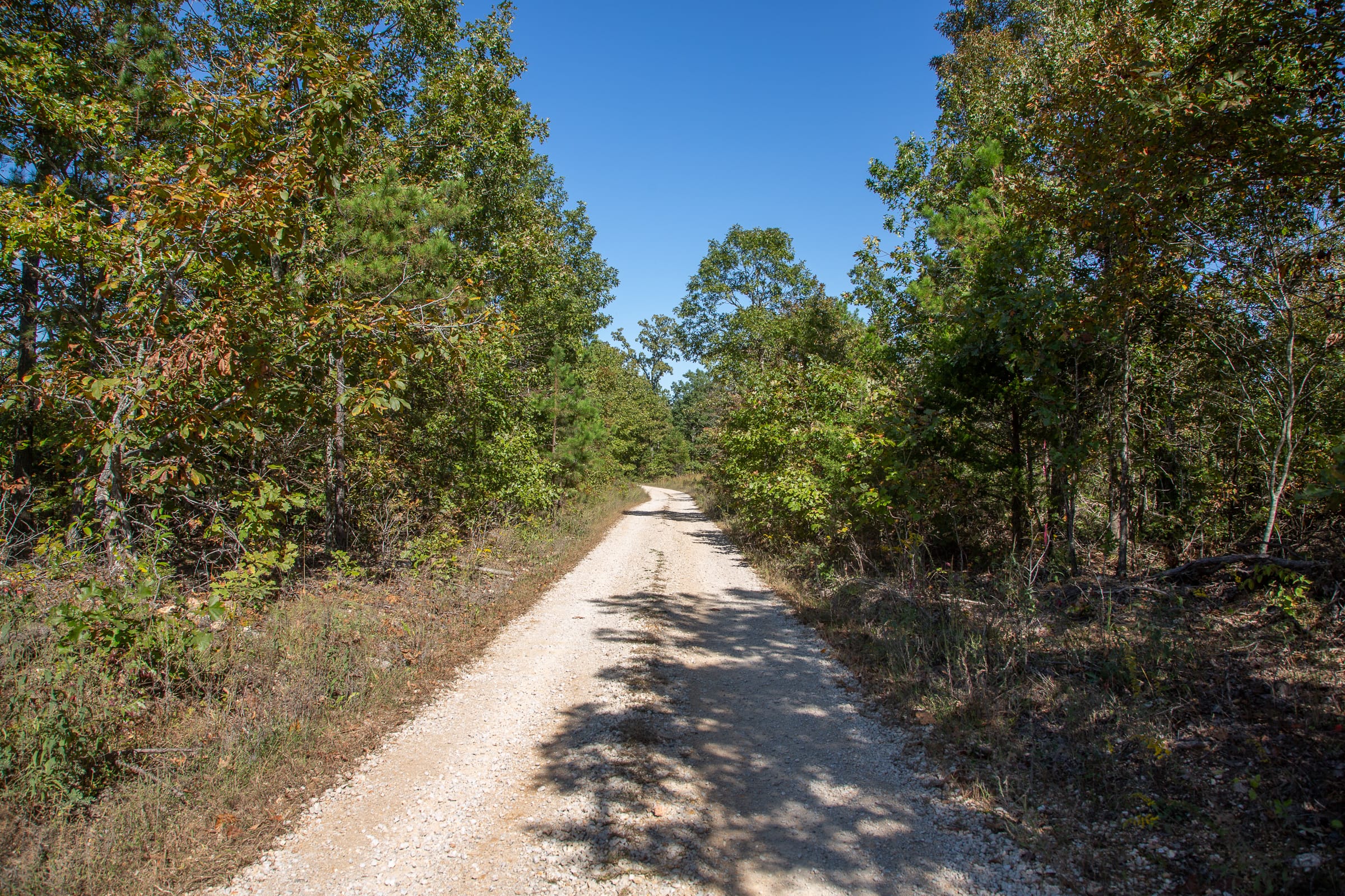 Borgmann’s Hollow Phase III Tract 96 photo 6
