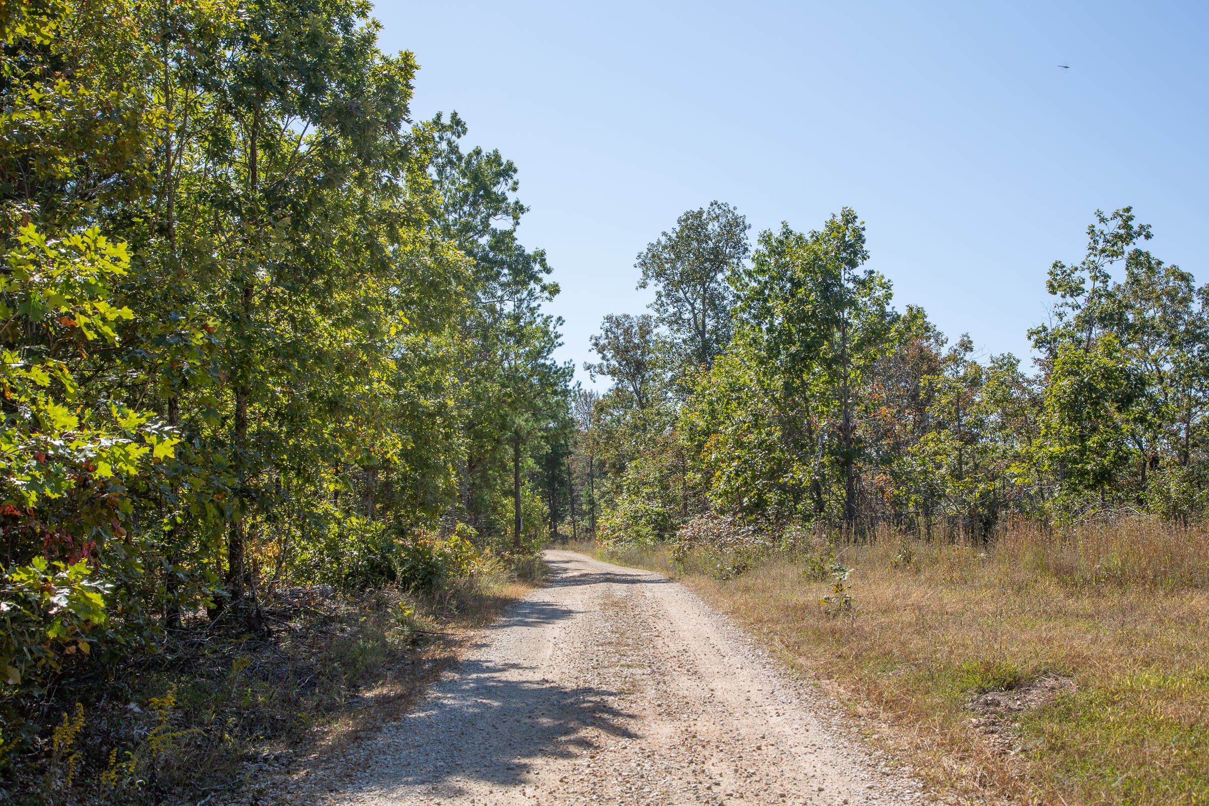 Borgmann’s Hollow Phase III Tract 96 photo 1