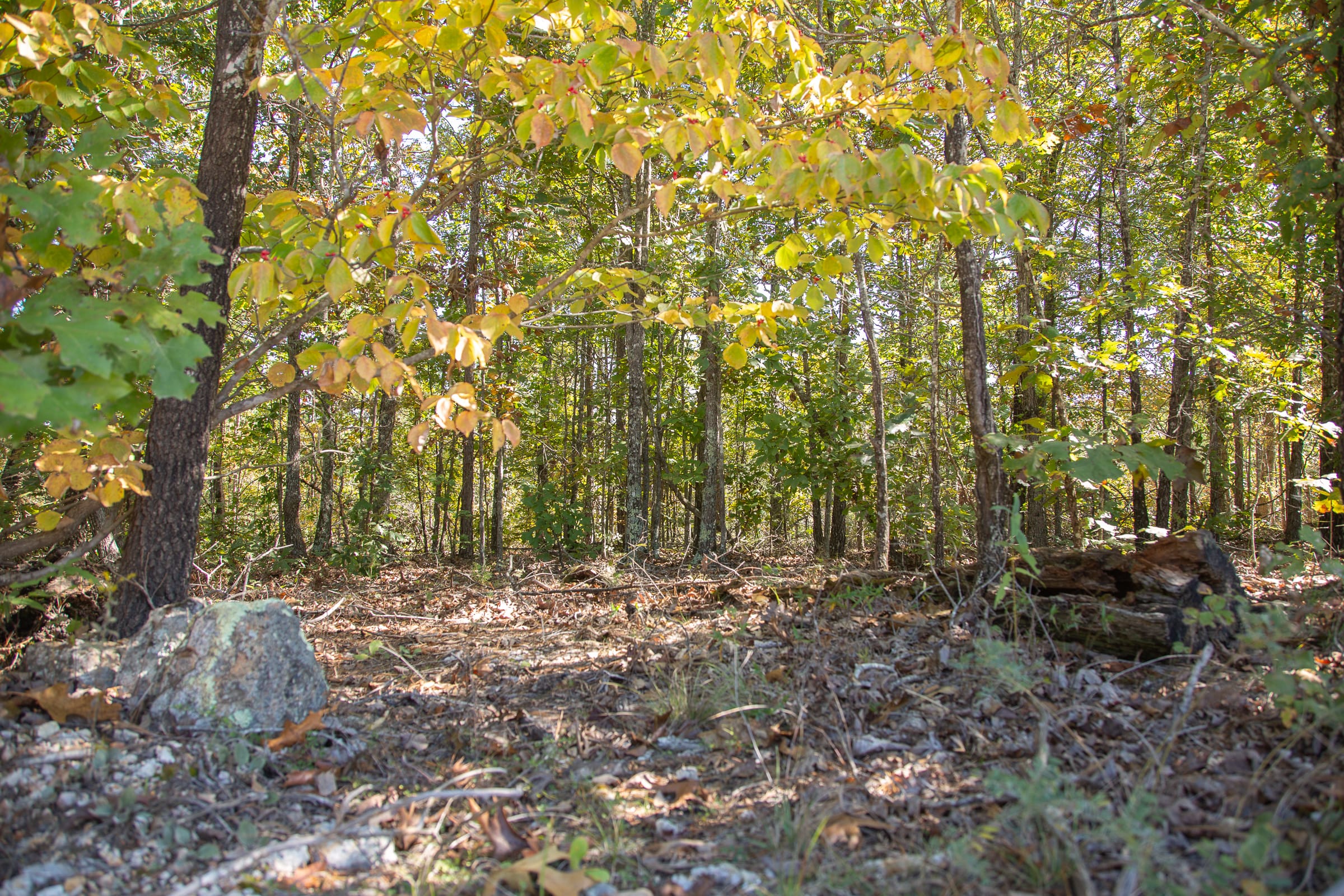 Borgmann’s Hollow Phase III Tract 96 photo 3