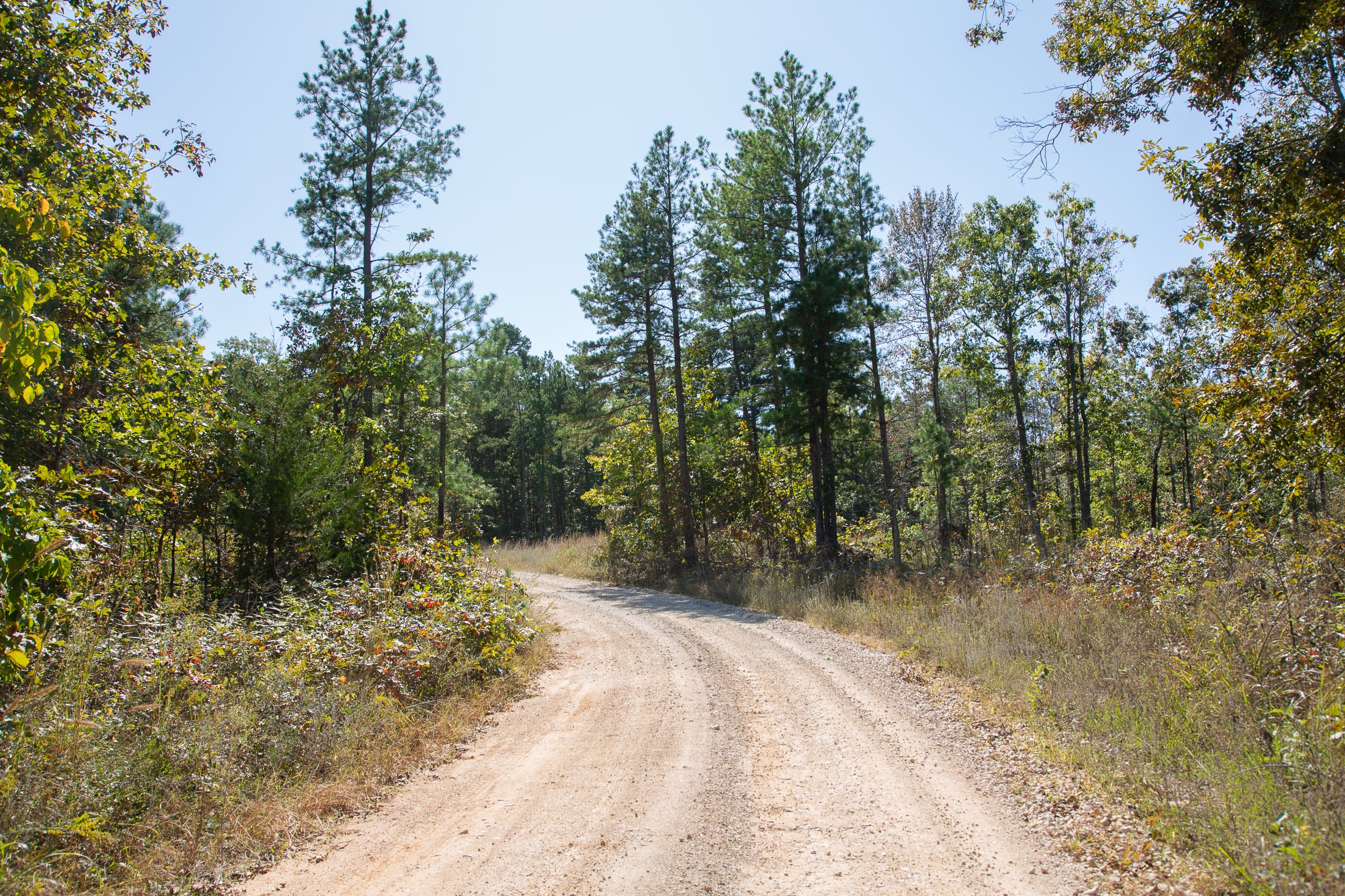 Borgmann’s Hollow Phase III Tract 96 photo 9