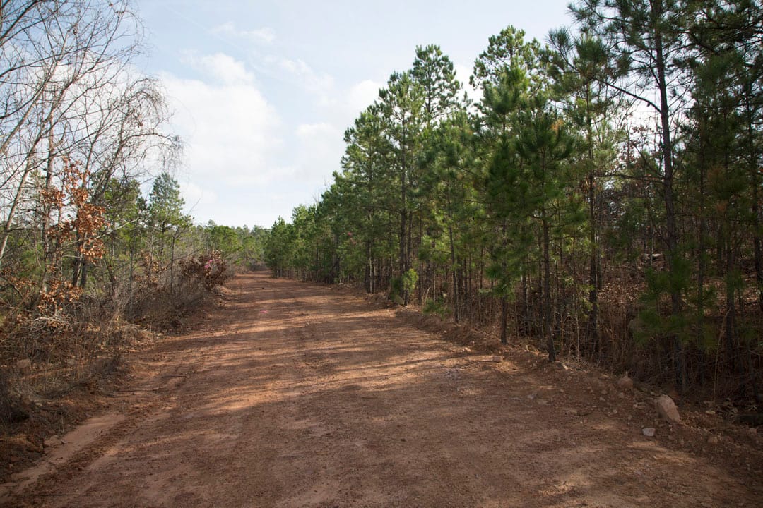 Stone Creek Phase III Tract 66 photo 2