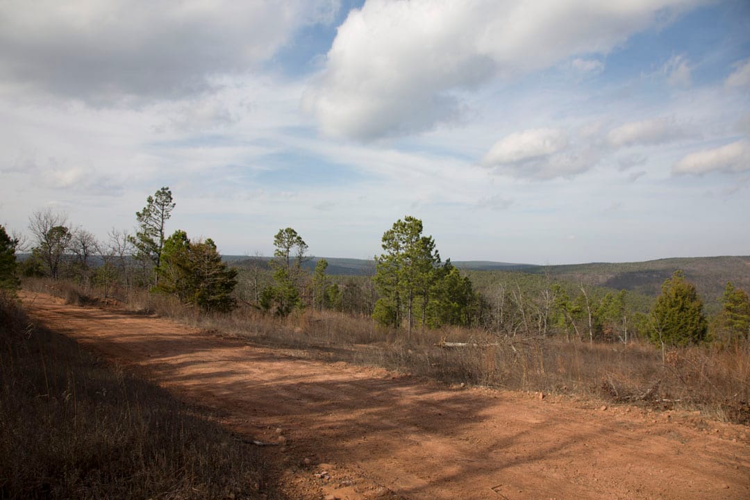 Stone Creek Phase III Tract 66 photo 4
