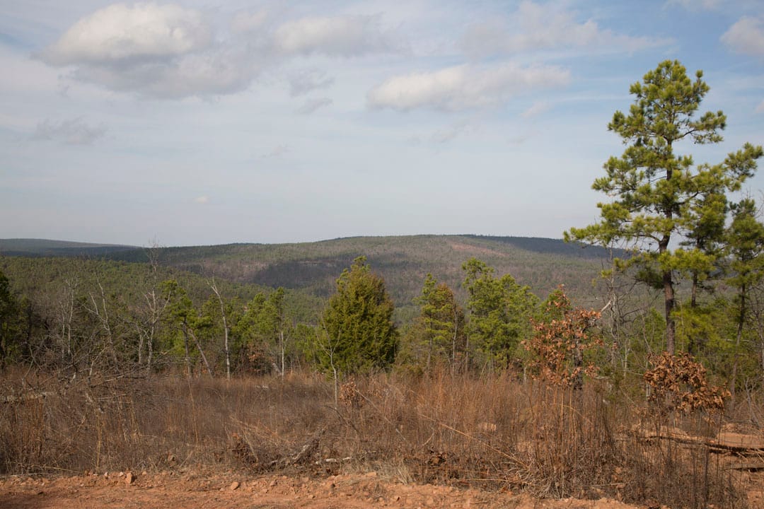 Stone Creek Phase III Tract 66 photo 5