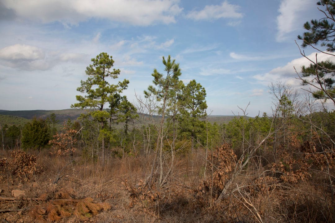 Stone Creek Phase III Tract 66 photo 6