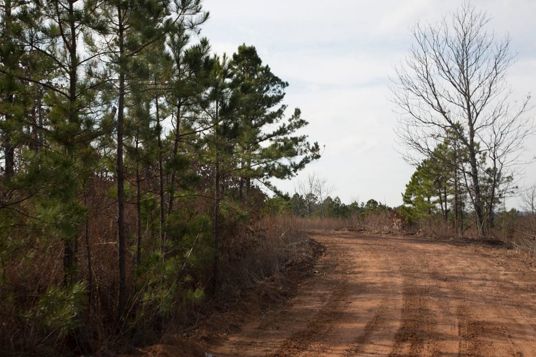 Stone Creek Phase III Tract 66 photo 7