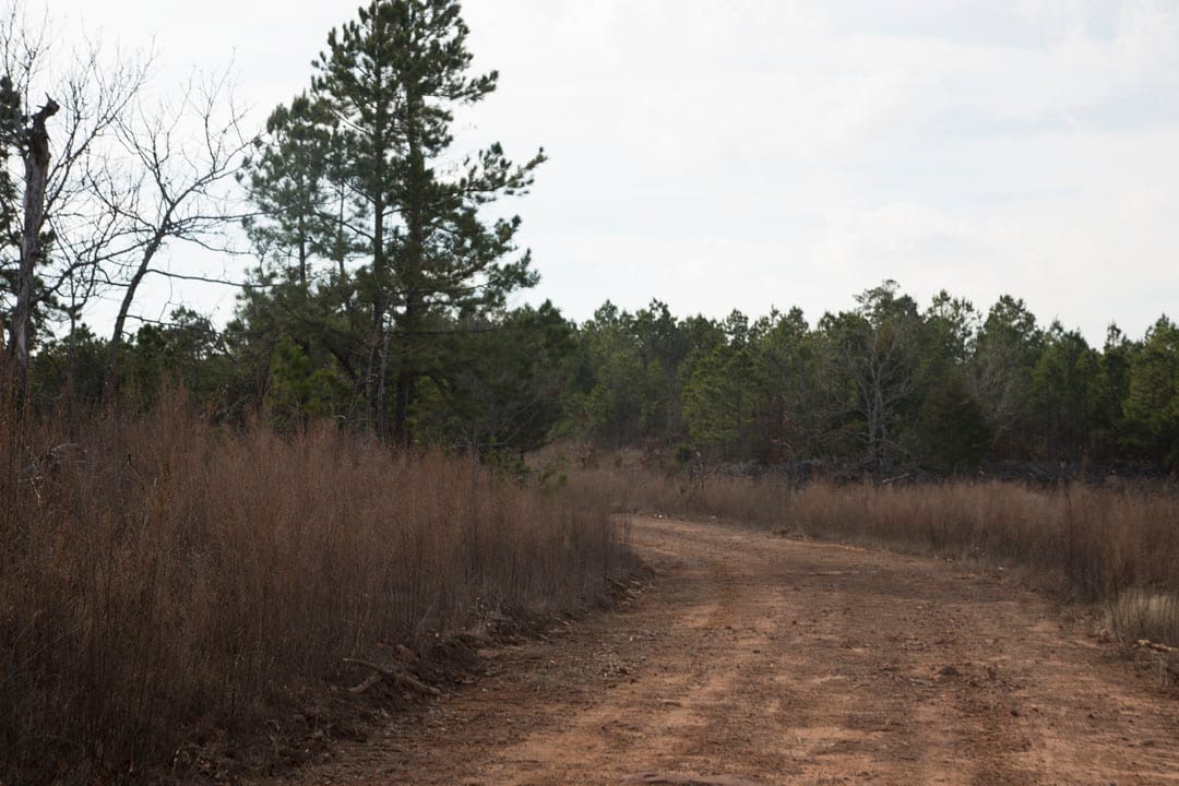 Stone Creek Phase III Tract 66 photo 8