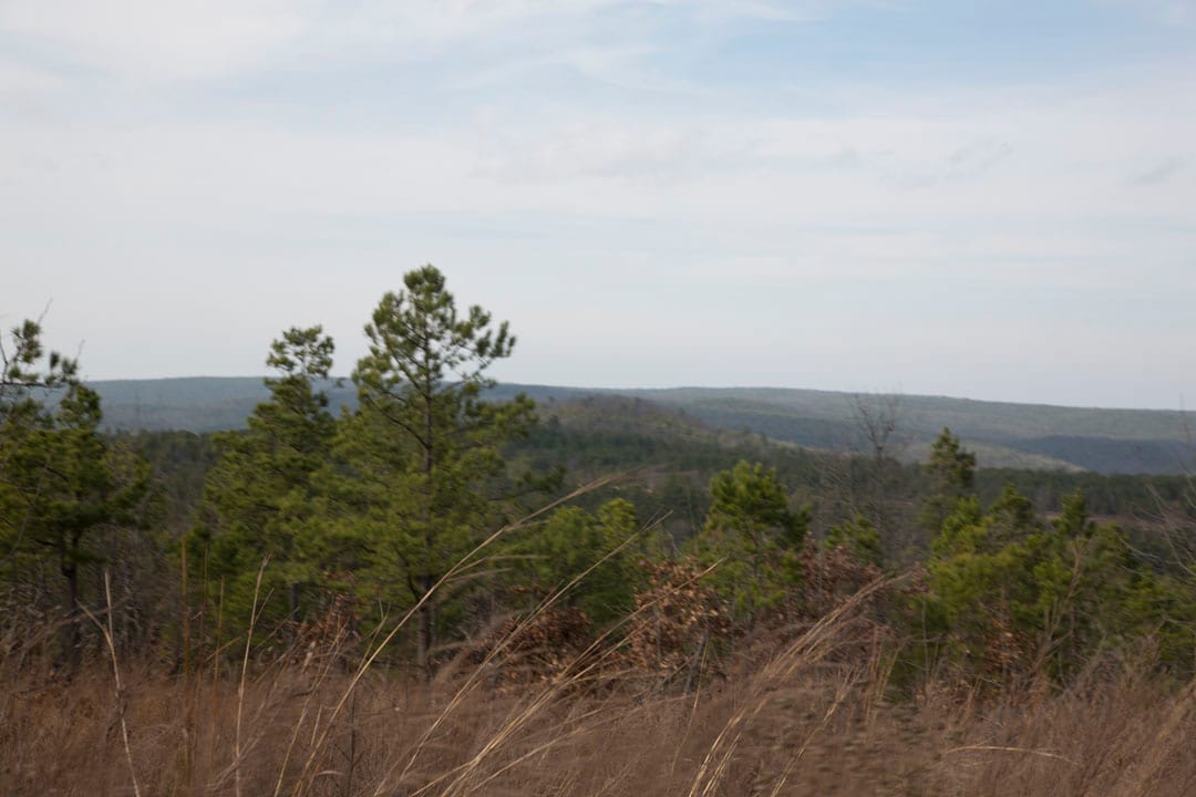 Stone Creek Phase III Tract 66 photo 9