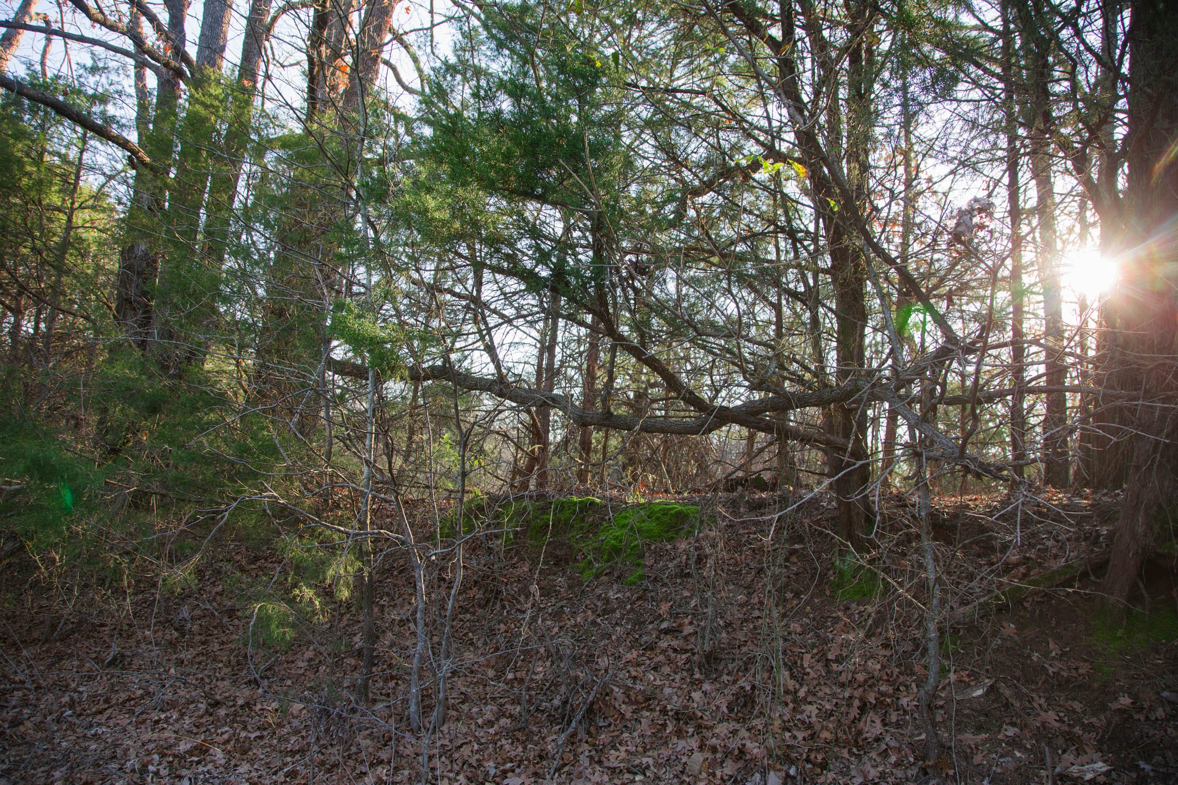 Eufaula Cove Tract 26 photo 2