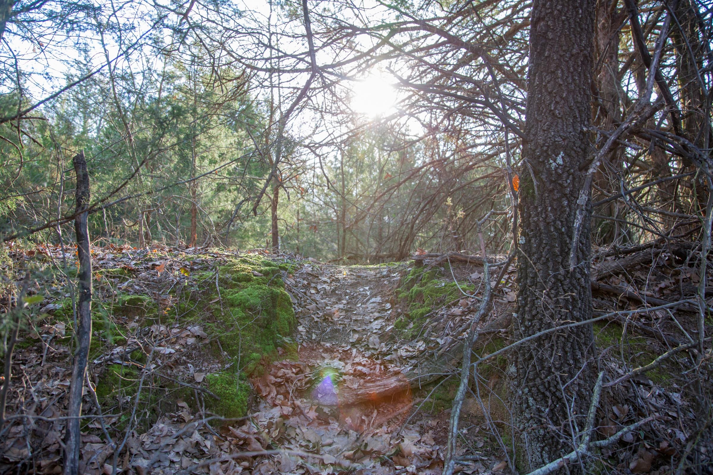 Eufaula Cove Tract 26 photo 10