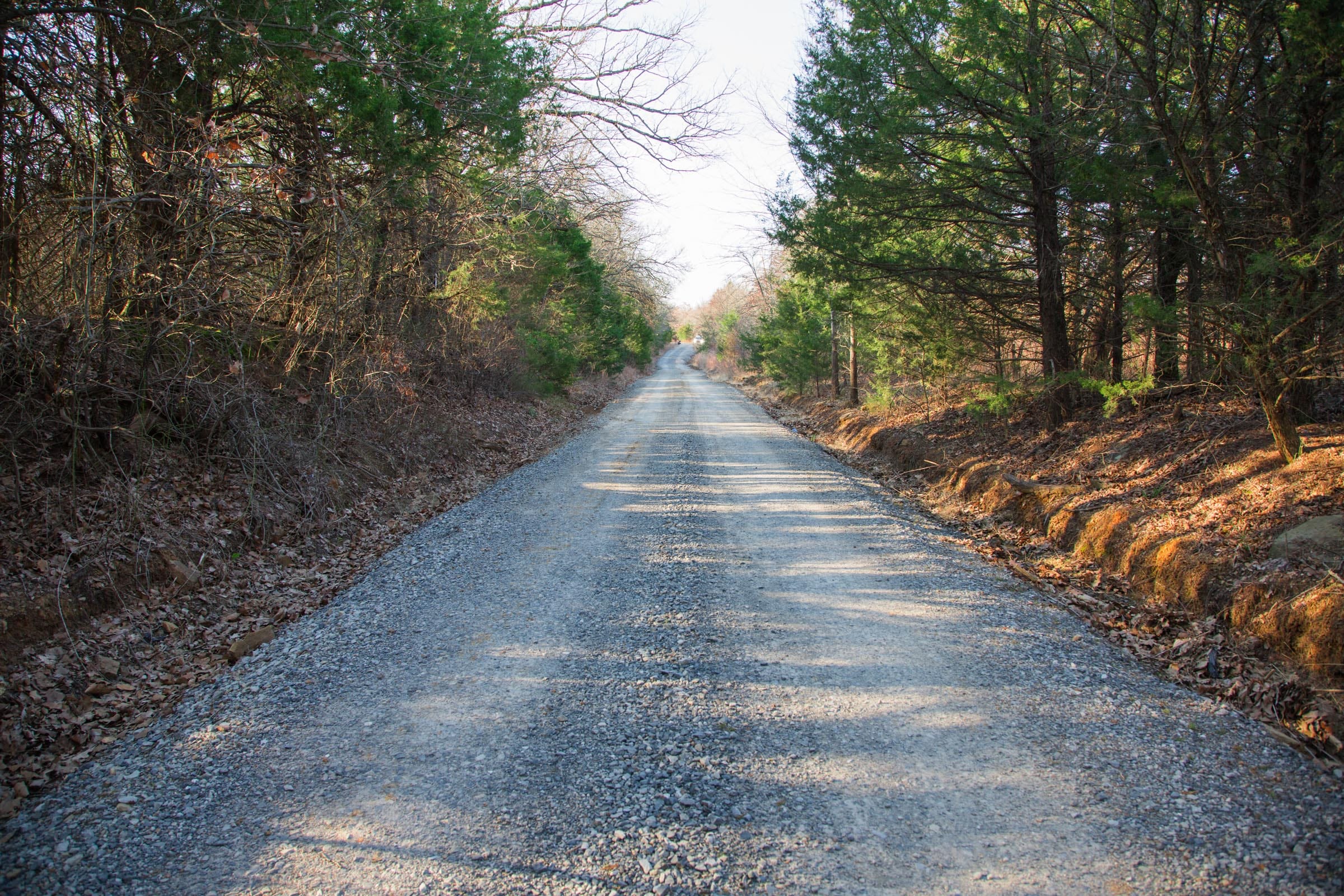 Eufaula Cove Tract 26 photo 11