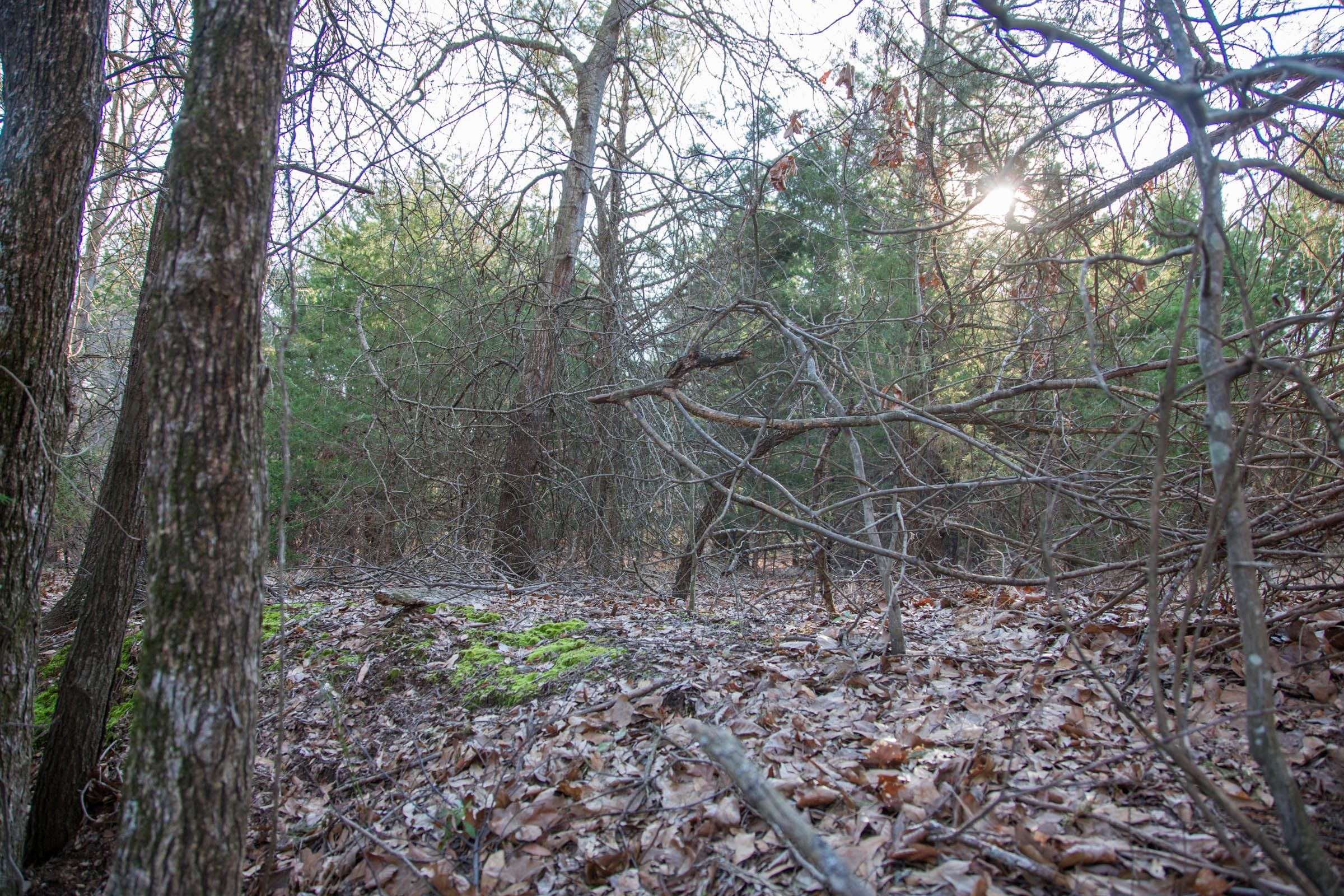 Eufaula Cove Tract 26 photo 12