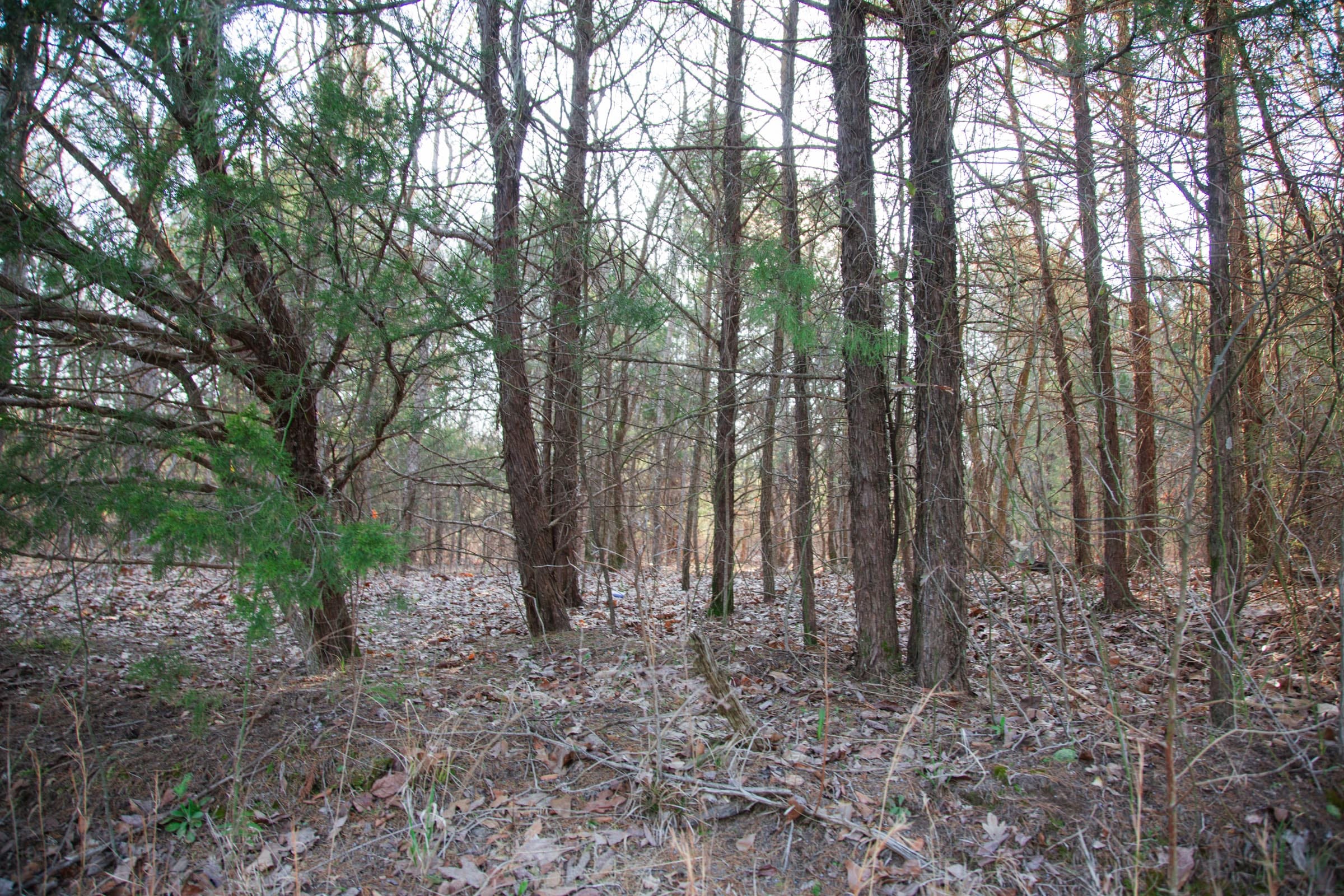 Eufaula Cove Tract 26 photo 13