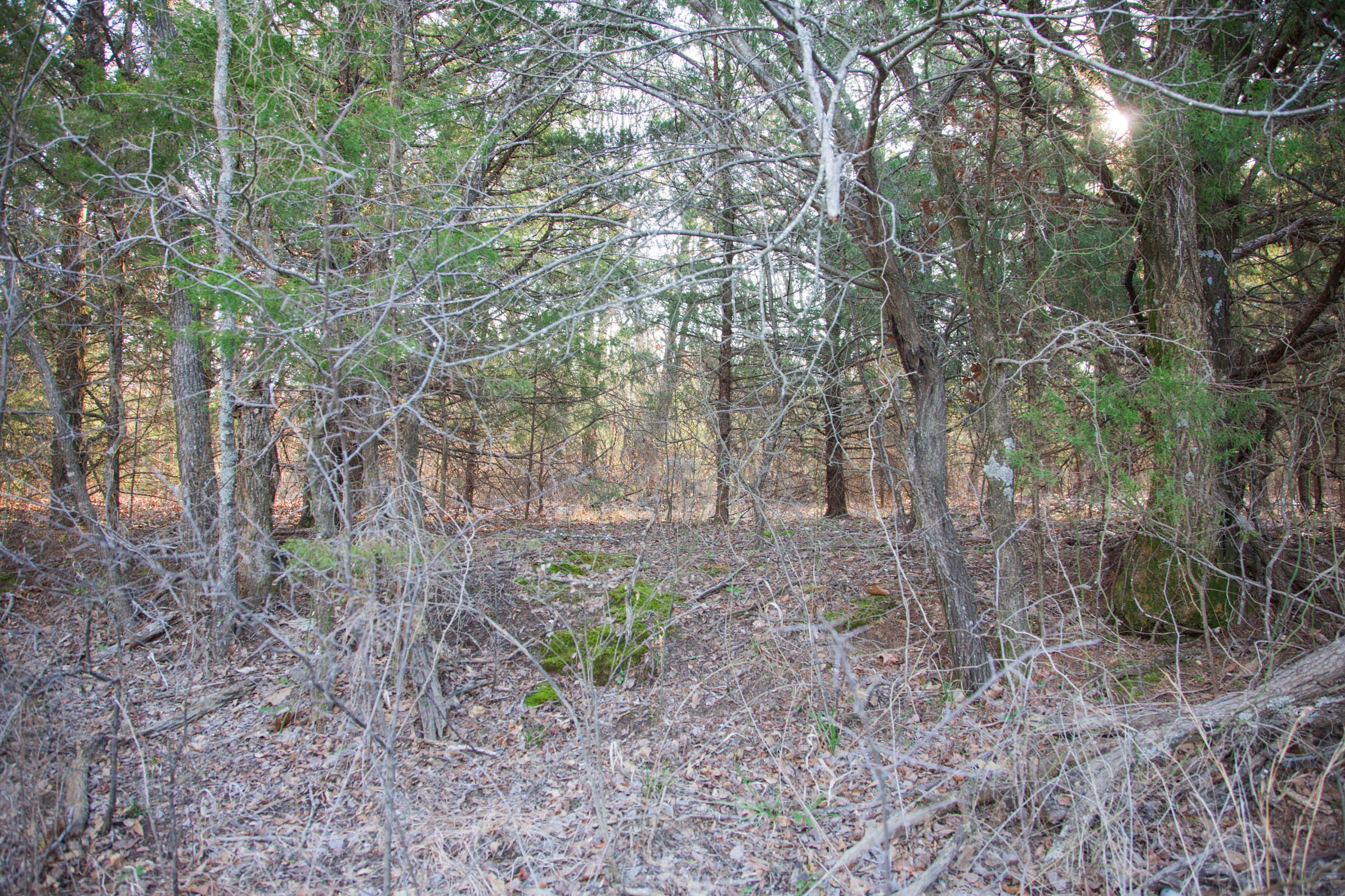 Eufaula Cove Tract 26 photo 16