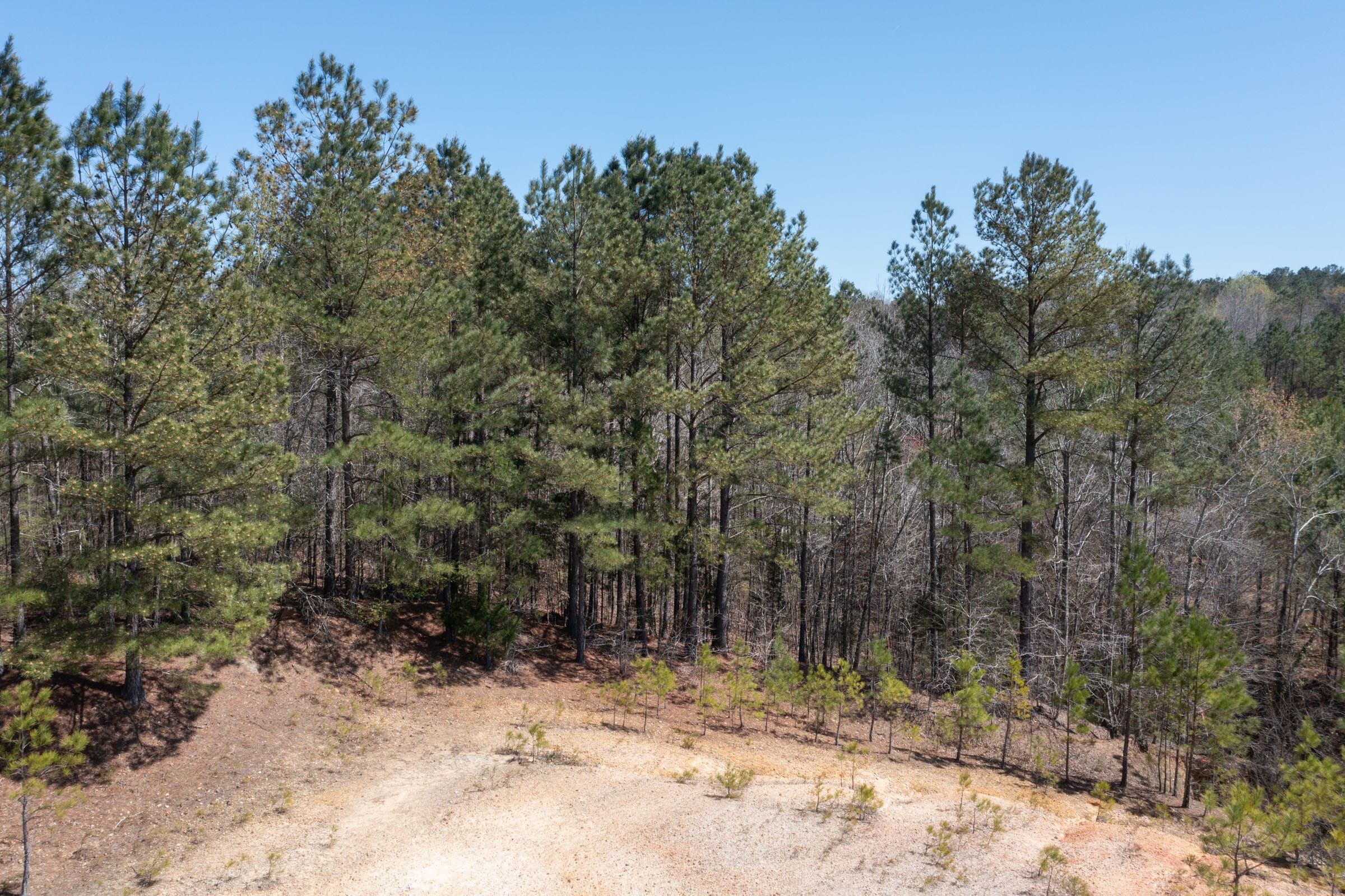 Southern Hills Tract 13 photo 8