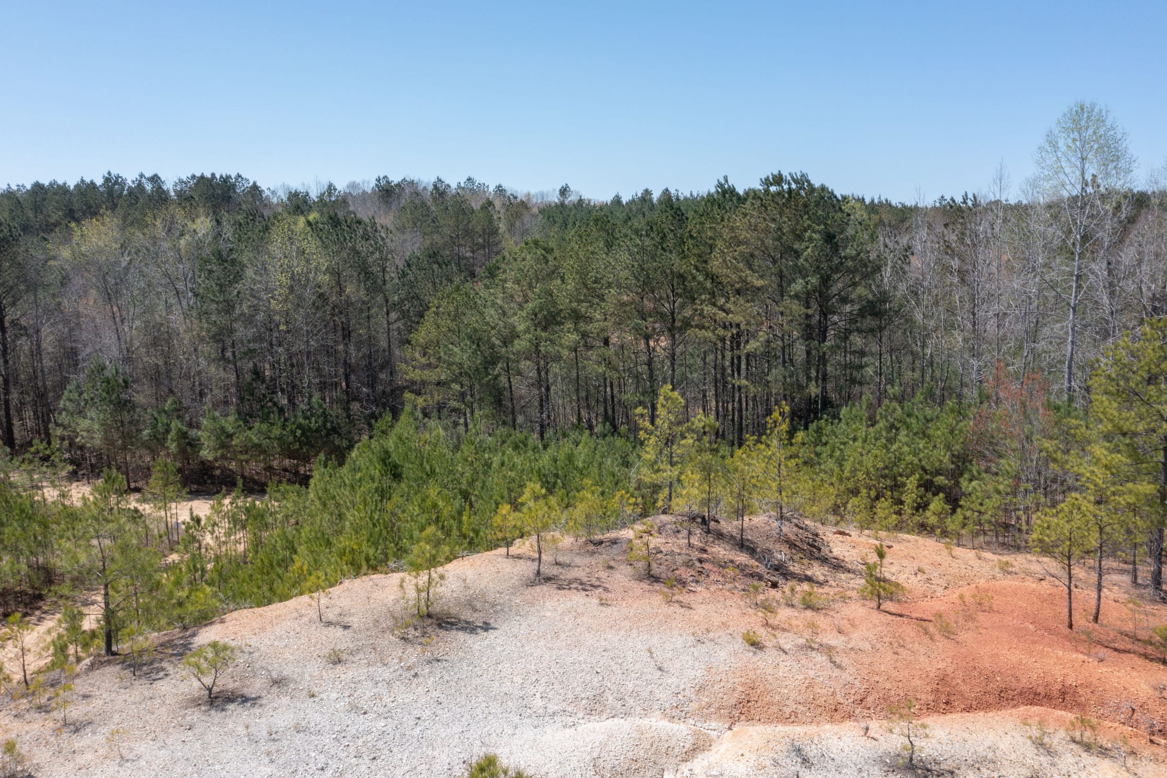 Southern Hills Tract 13 photo 9